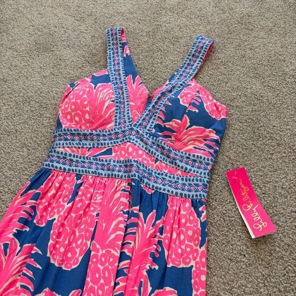 Lilly Pulitzer Taryn Maxi Dress Blue Haven Little Flamenco Size 4 Pink Pineapple - Picture 2 of 11